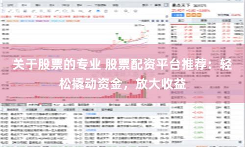 关于股票的专业 股票配资平台推荐：轻松撬动资金，放大收益